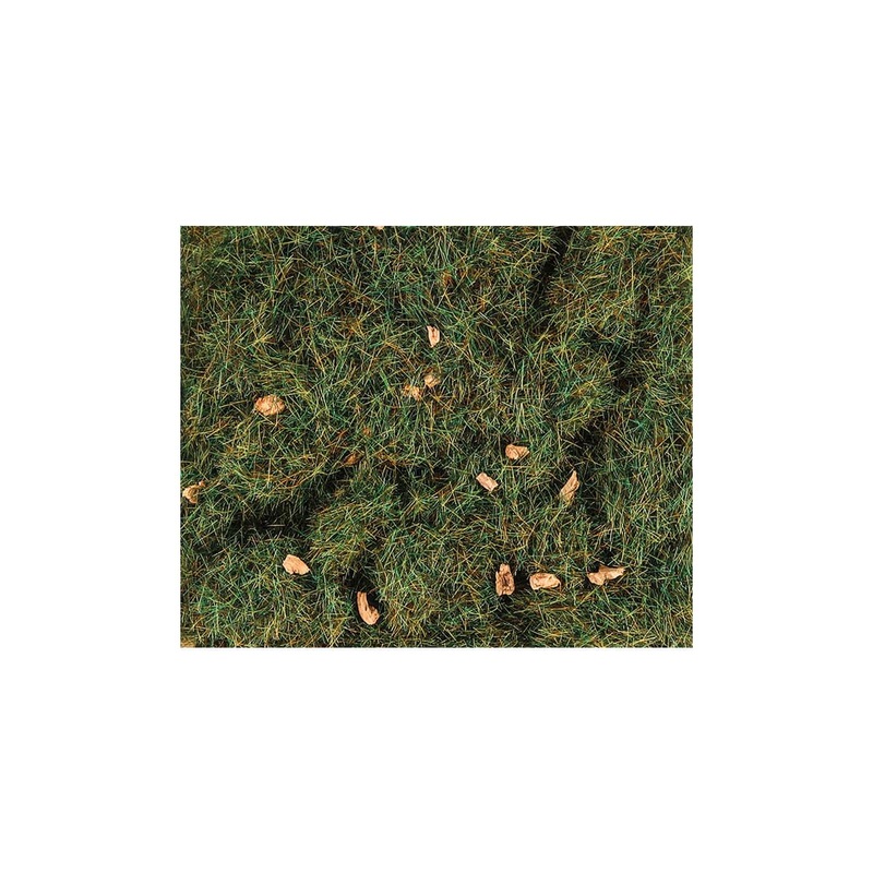 4mm Summer Alpine Grass