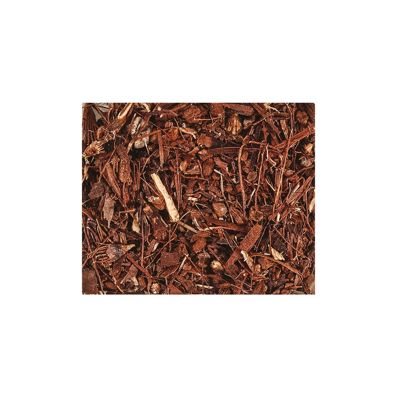 Woodland Ground Cover