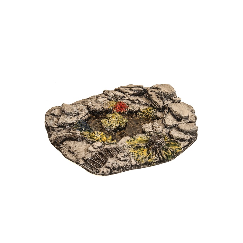 Small Pond with Water Lillies