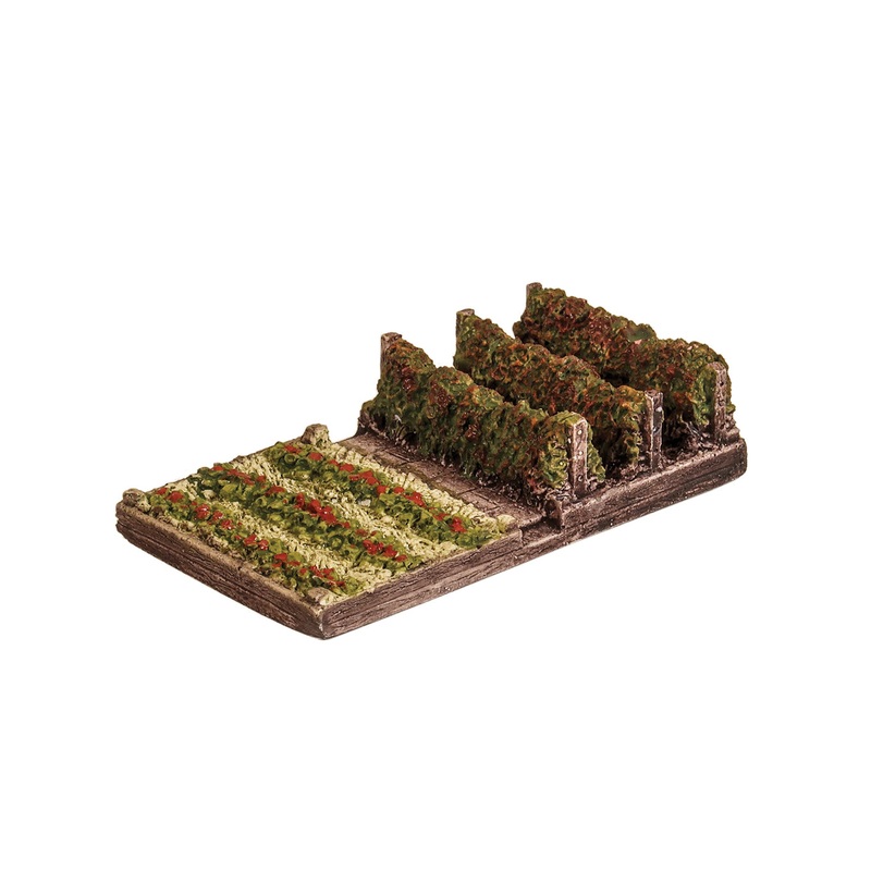 Soft Fruit Plot with Strawberries and Raspberries