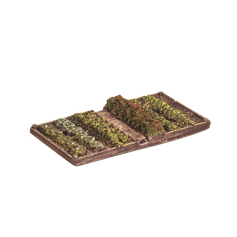 Vegetable Patch with a Raised Timber Frame