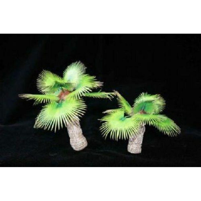 1/35 Scale palmier trees set (Europe Africa)