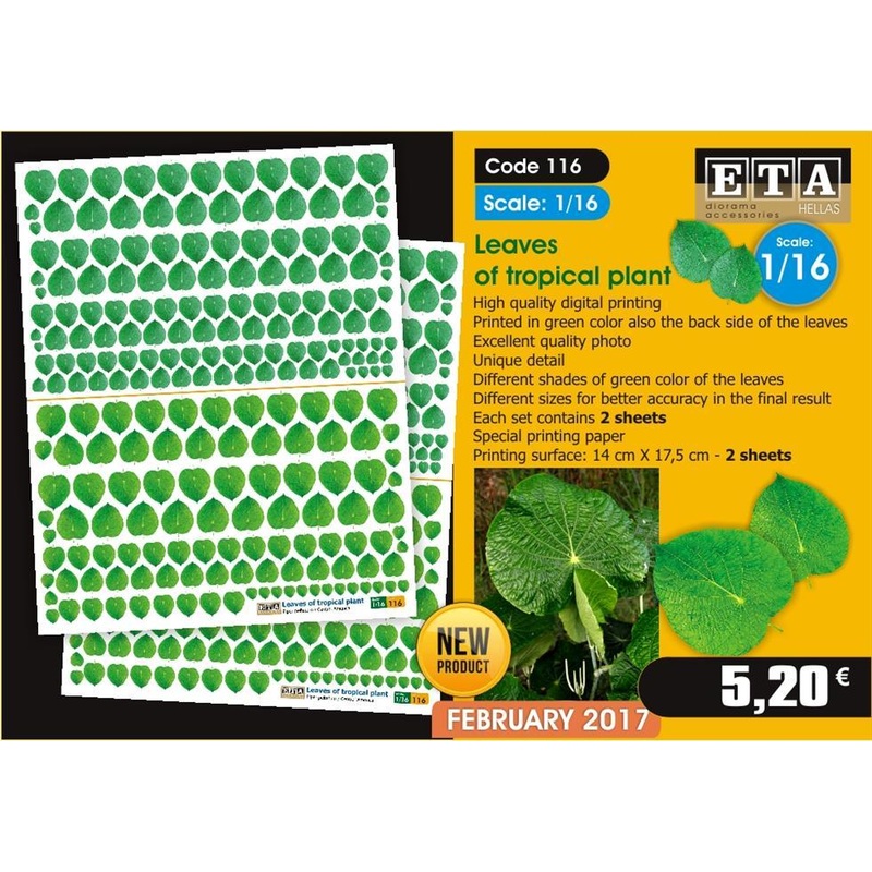 1/16 scale Leaves of tropical plant