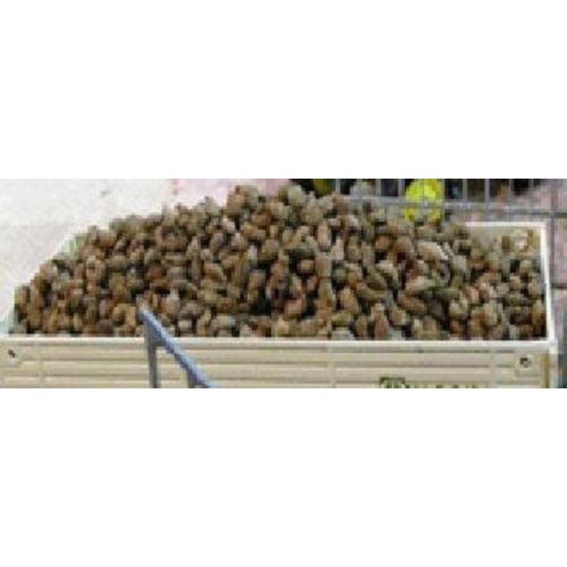 1/35 Scale pack of Sugar Beet 25g