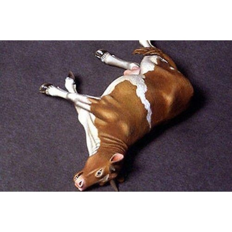 1/35 Scale resin model kitDead cow