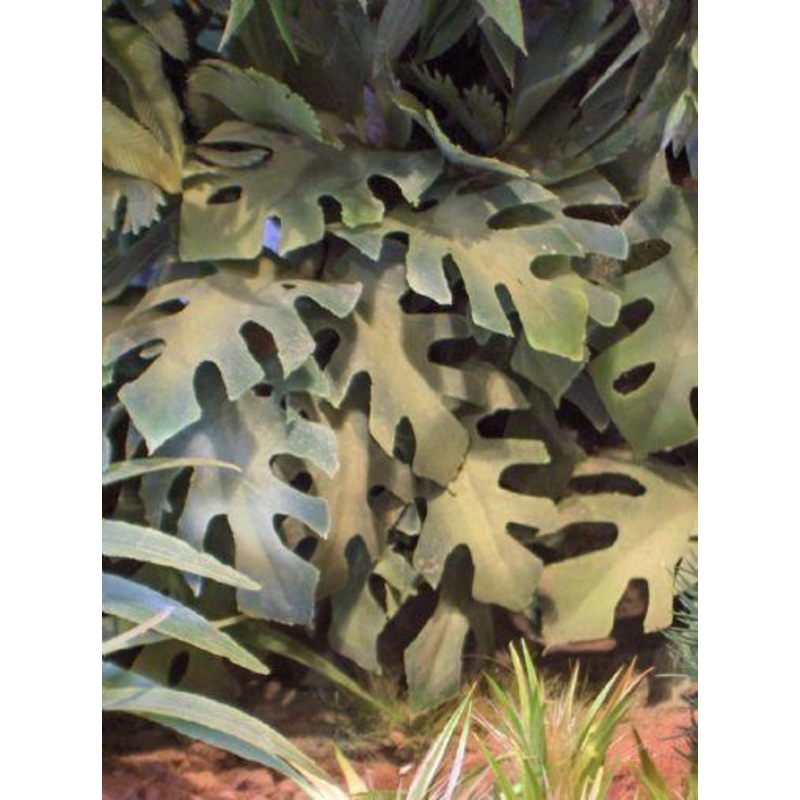 1/35 scale vietnam bush III