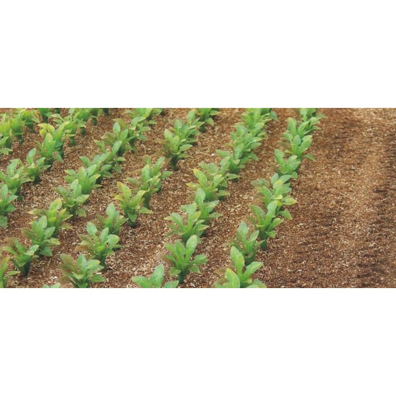 1:35 scale SUGAR BEET PLANTS