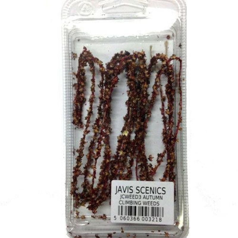 AUTUMN CLIMBING WEED