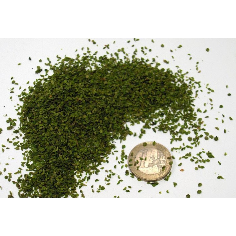 fine small green leaves
