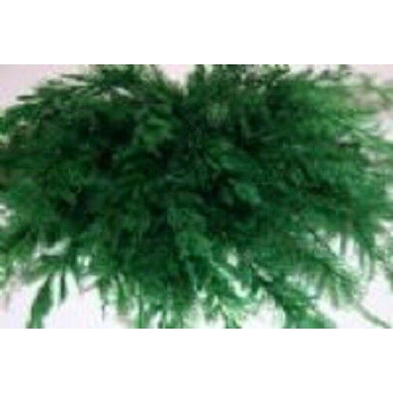 fine weeds