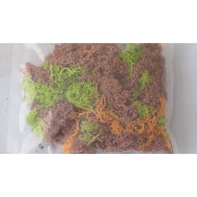JAVIS BULK PACK MIX.COL LICHEN