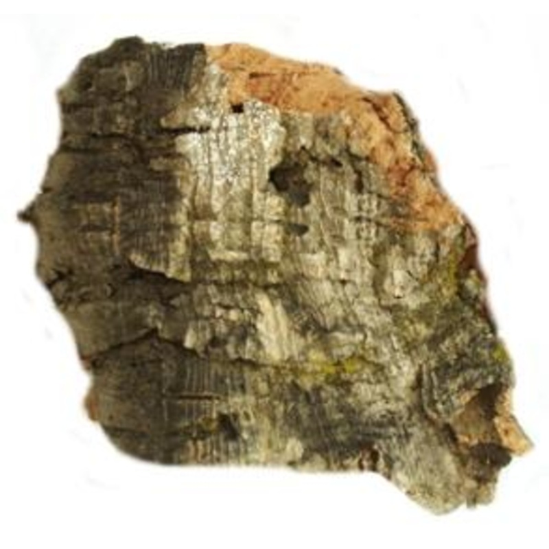 JAVIS MEDIUM CORK BARK