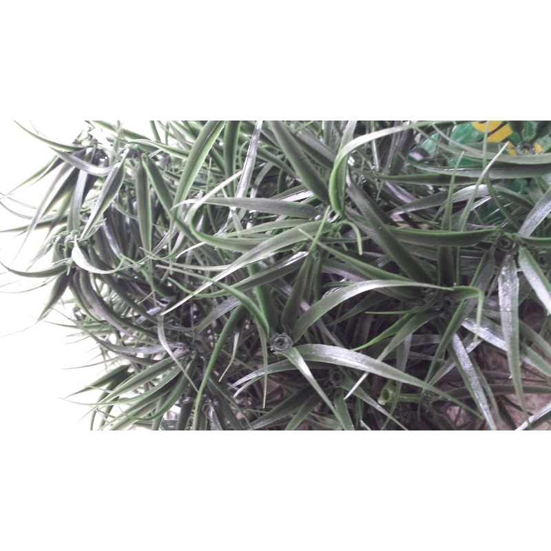 Jungle Plant #11