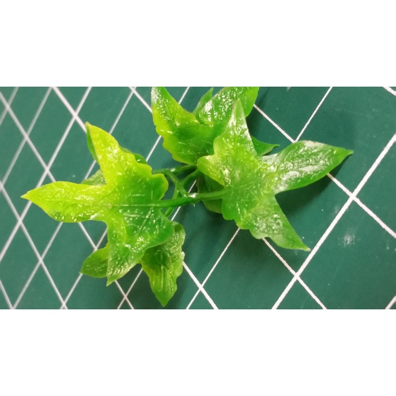 Jungle Plant #9