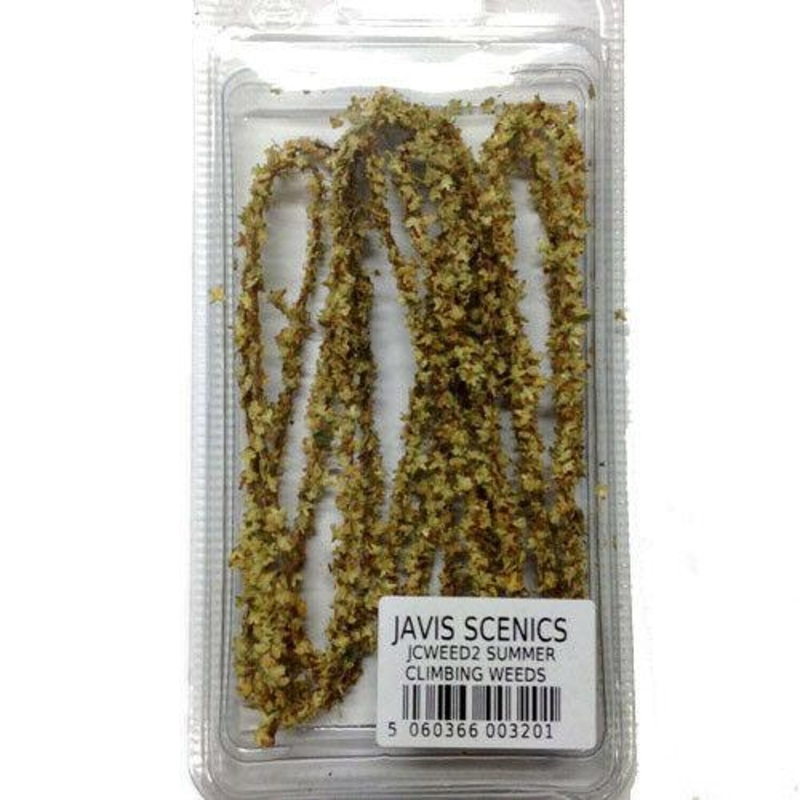 SUMMER CLIMBING WEED