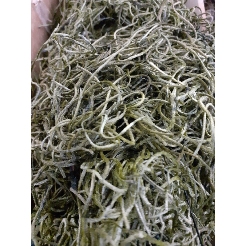 Tillandsia Moss (Forest Moss) X 10g Moss Green Bag