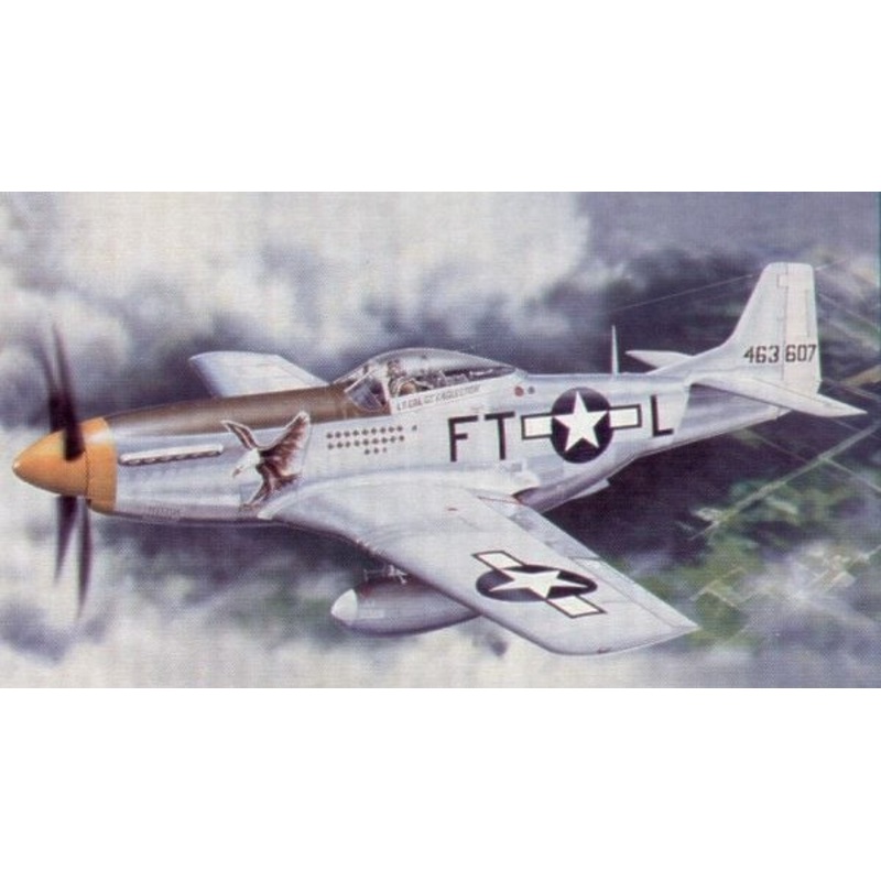 Trumpeter 1/24 WW2 USAAF North-American P-51D Mustang IV