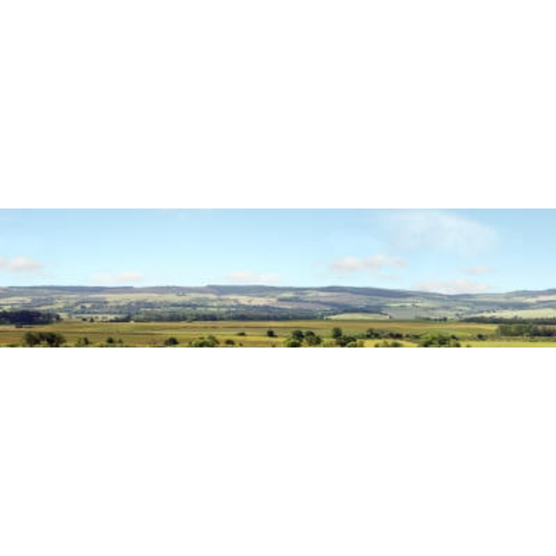 Hills and Dales Pack C Backscene