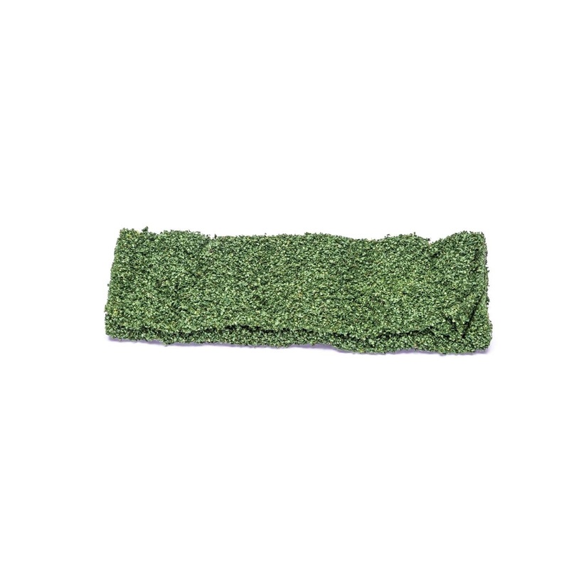 Leafy Dark Green Foliage