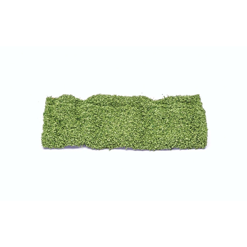 Leafy Light Green Foliage