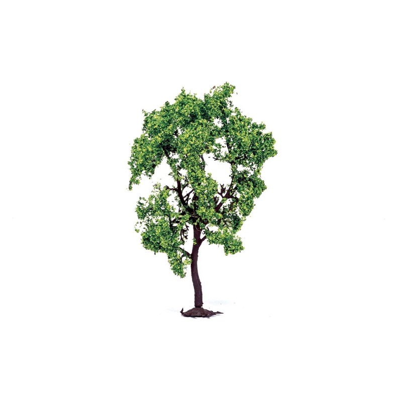 Pear Tree 7.5cm