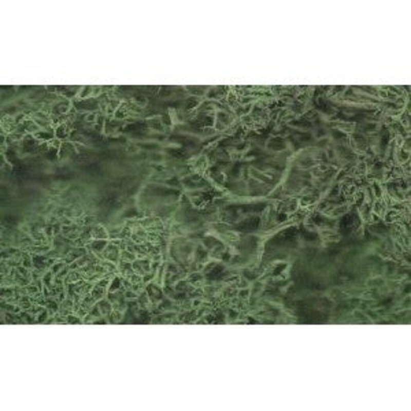Dark Green Lichen