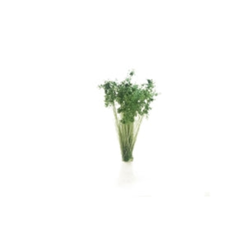 All Game Terrain G6632 Dark Green Shrubs Tufts