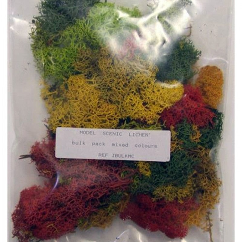 Bulk Pack Mixed Colour Lichen