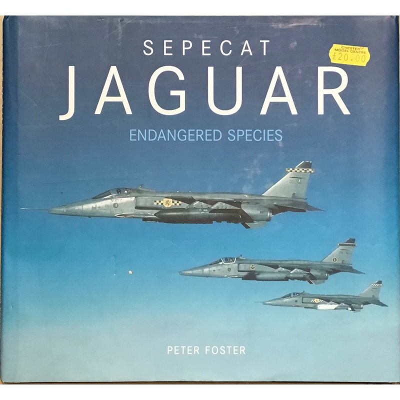 Sepecat Jaguar Endangered Species by Peter Foster