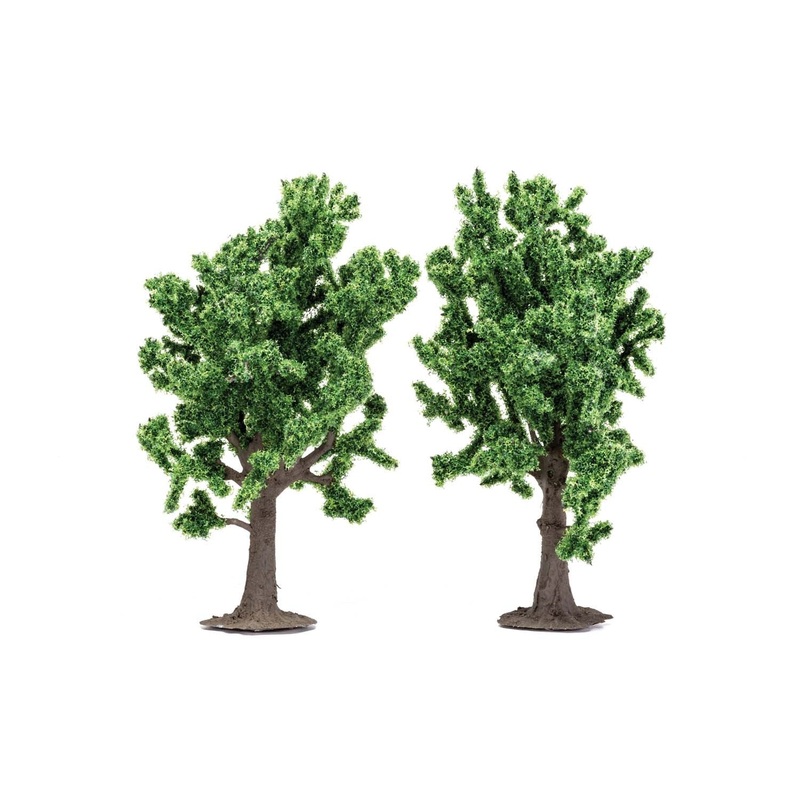 Beech Trees 13cm x2pcs