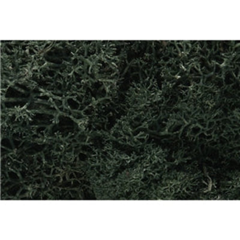 Woodland Scenics Dark Green Lichen WL164