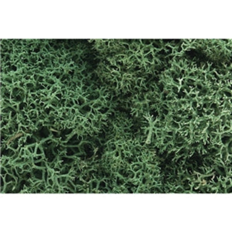 Woodland Scenics Light Green Lichen WL162
