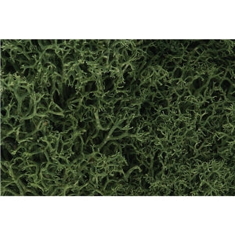Woodland Scenics Medium Green Lichen WL163