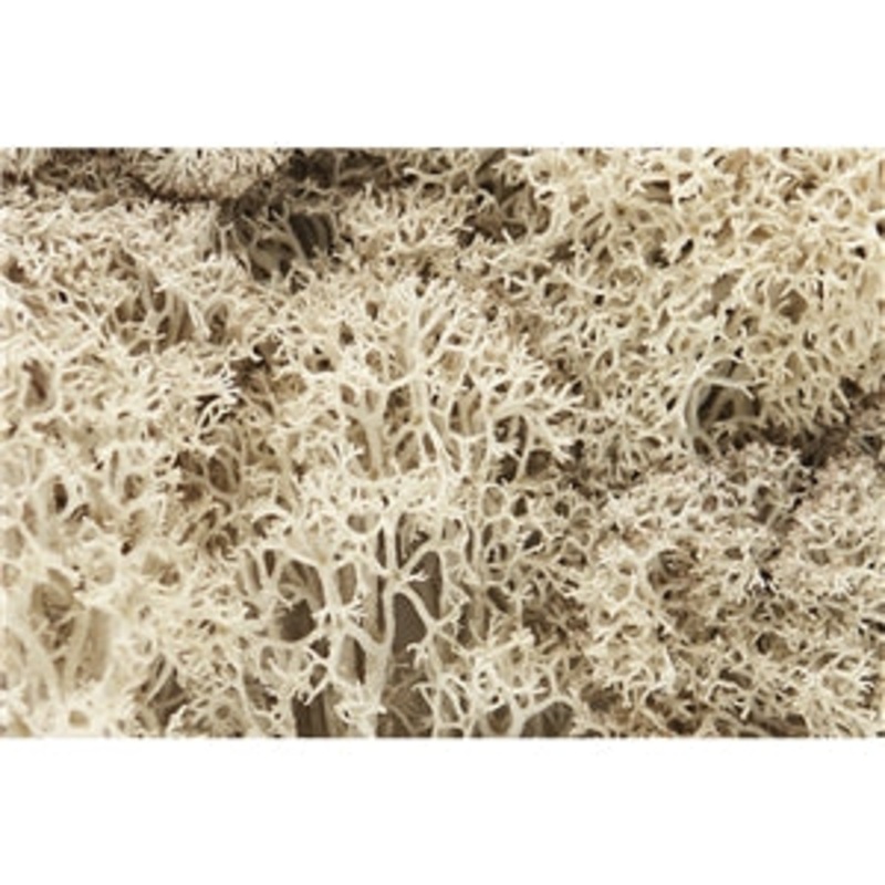 Woodland Scenics Natural Lichen WL166