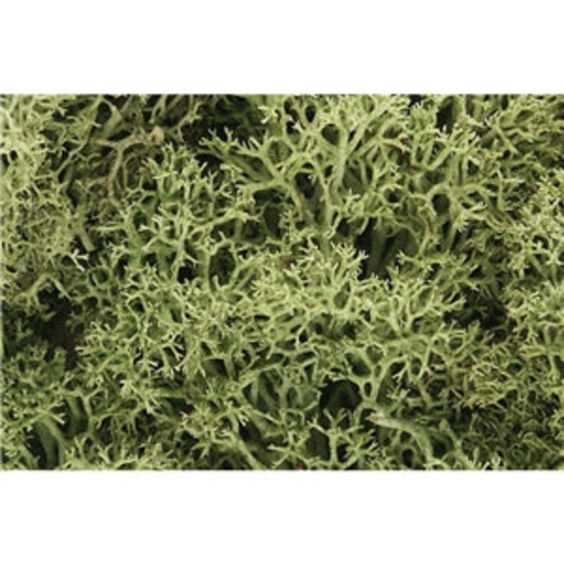 Woodland Scenics Spring Green Lichen WL161