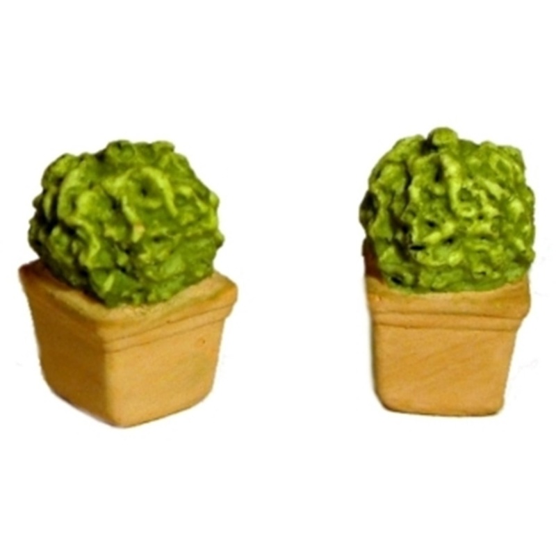 Bushy Shrubs, Square Terracotta Planters