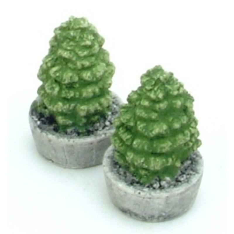 Ornamental Tree in Concrete Planter