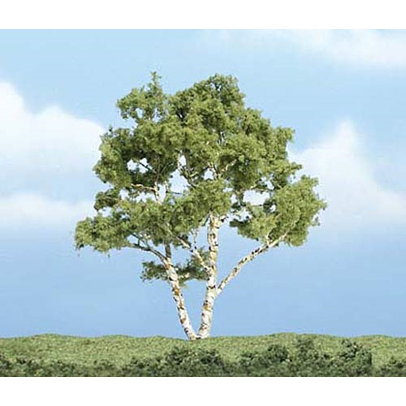 TR1601 Premium Birch Tree 3 7/8 inch