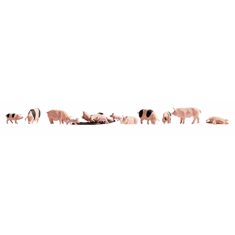 Figures – Pigs (12)