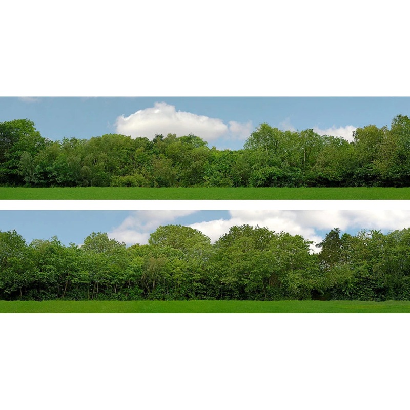 00 GAUGE 15 TREES OO Gauge 15 High Backscene