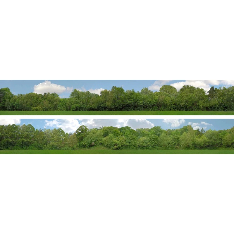 9 INCH N GAUGE TREES 9 High Backscene