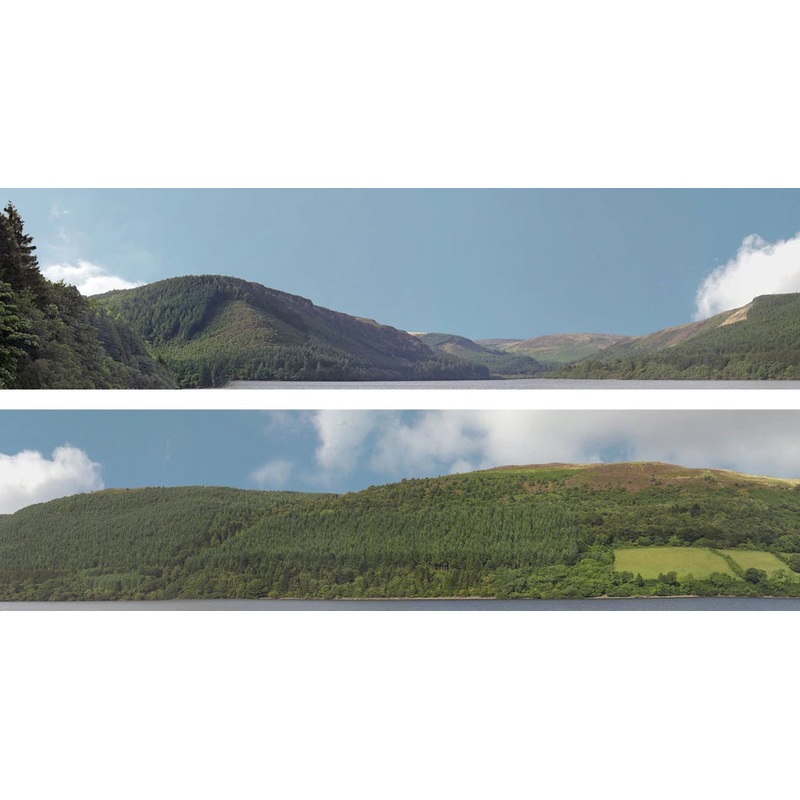 Art Printers N Gauge Forest Hills 9 High Backscene