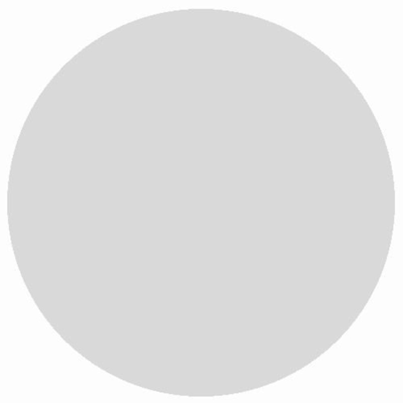 BR Diesel Light Grey (18ml acrylic)