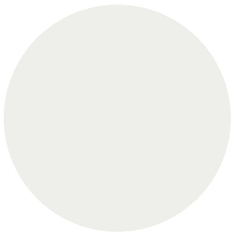 GWR Stock Roof White (Acrylic) (18ml)