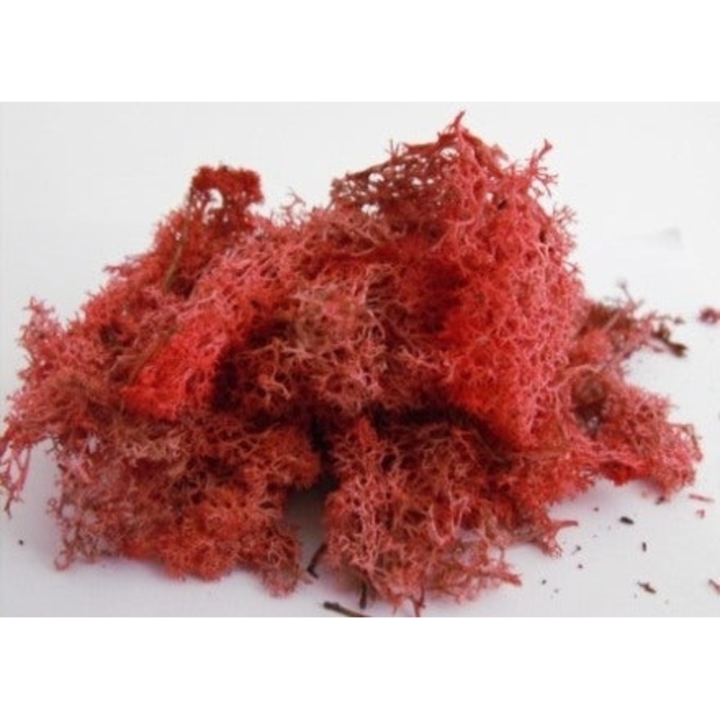 Lichen/moss – Autumn Red – Small Pack