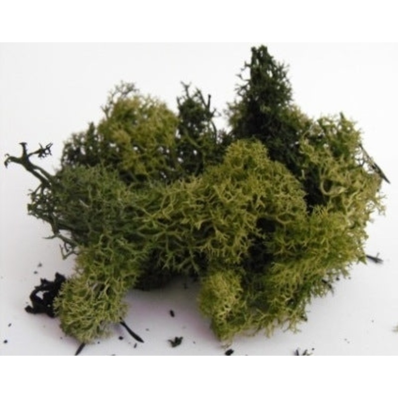 Lichen/moss – Dark Green – Small Pack