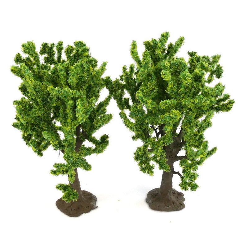 Beech Trees 2pcs