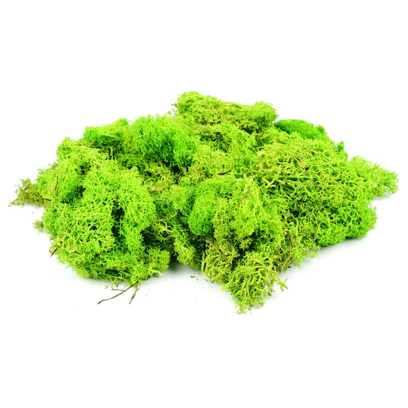 Light Green Lichen 80g