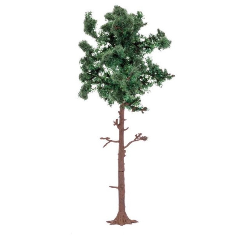 Large Pine Tree