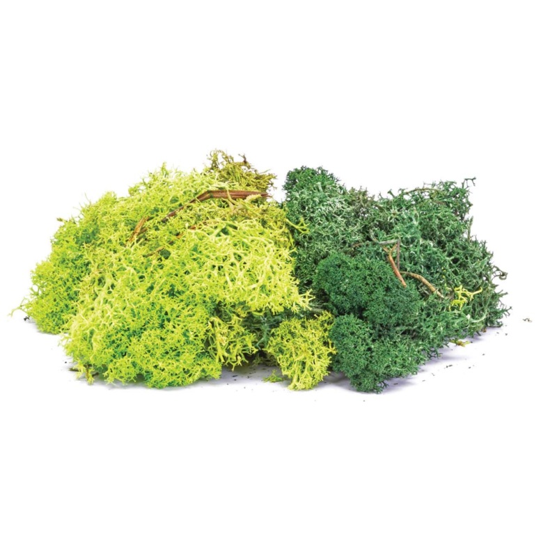 Lichen – Green Mix